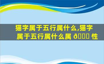 猫字属于五行属什么,猫字属于五行属什么属 🍀 性